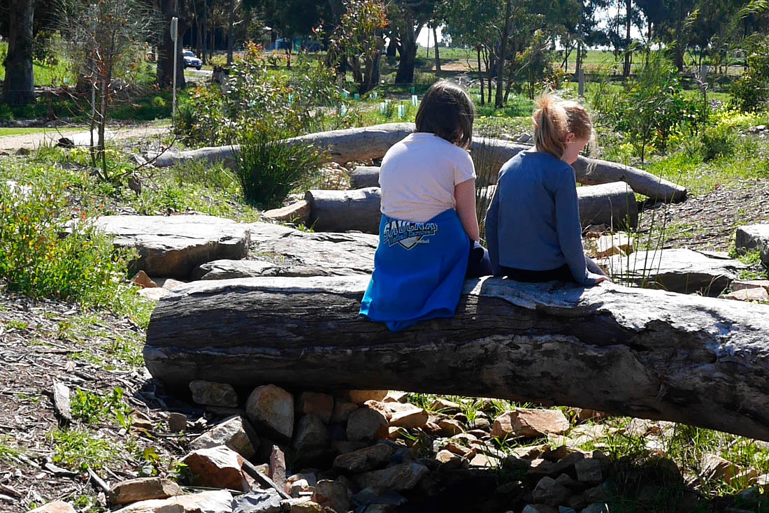 Primary School excursion to Glenthorne National Park nature playground